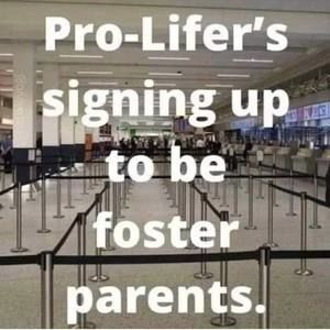 Meet your Posher, Lois